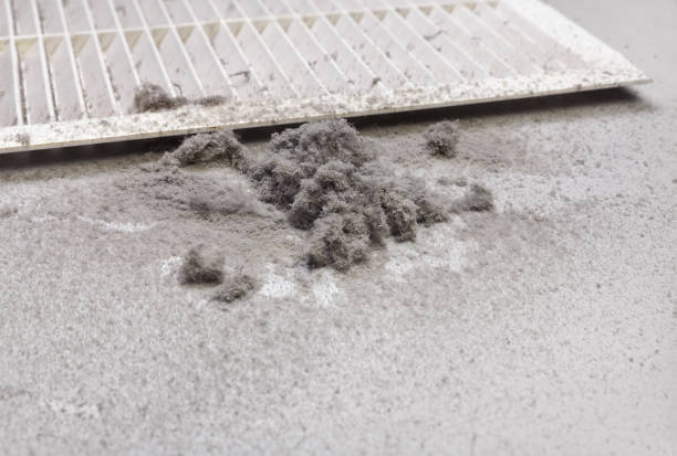 Best HVAC Air Duct Cleaning  in Baldwin, LA