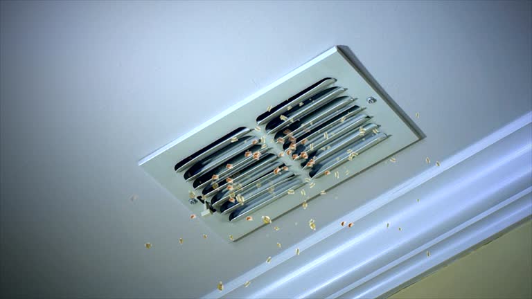 Best HVAC Air Duct Cleaning  in Baldwin, LA