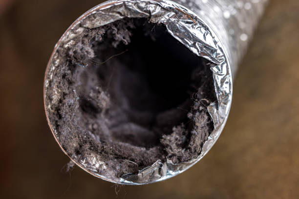 Air Duct Mold Removal in Baldwin, LA